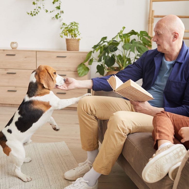 Adopt A Pet - Tips For Fending Off Loneliness As A Baby Boomer